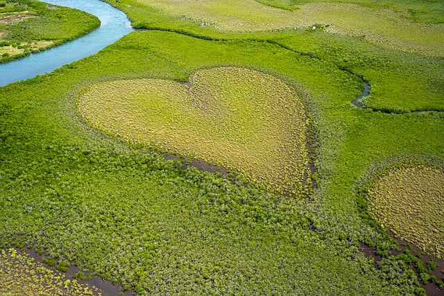 ハートの模様の大地